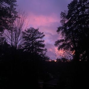 Meet your Posher, Arielle